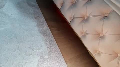 Snapshot of prinzkail643 chatting on February 2026 02:55:02 PM prinzkail643 online show from February 2026 02:55:02 PM