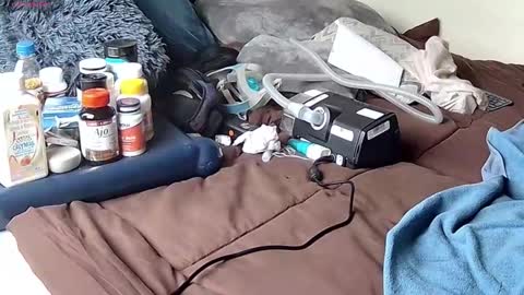 Probardetodo independent model online show from January 2026 06:31:02 PM