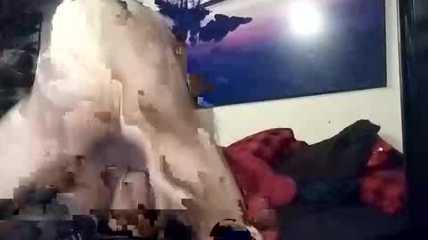 properttw online show from October 2025 04:29:01 PM