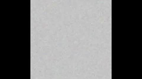 Snapshot of prostatepete chatting on February 2026 11:36:02 PM prostatepete online show from February 2026 11:36:02 PM