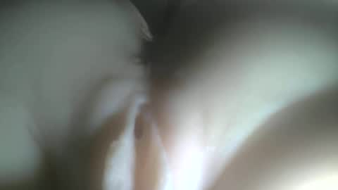needtocum online show from February 2026 12:42:02 AM
