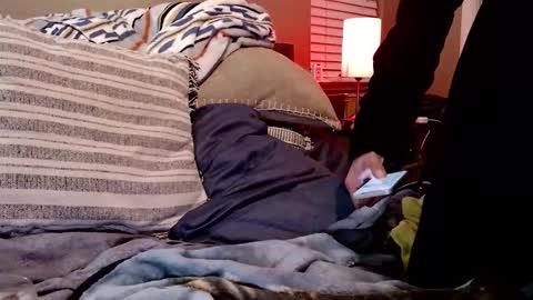 Sk8wave online show from February 2026 07:56:02 AM