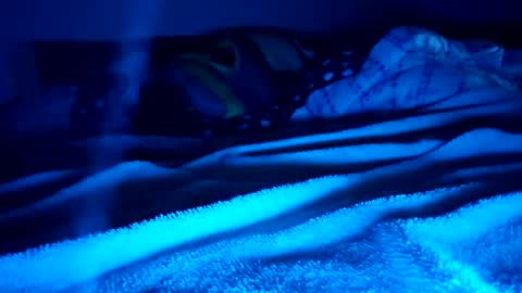 Snapshot of ptut82 chatting on February 2026 09:41:02 AM ptut82 online show from February 2026 09:41:02 AM