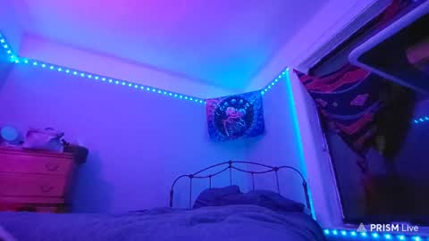 puddled_wonderland online show from January 2025 05:40:02 AM