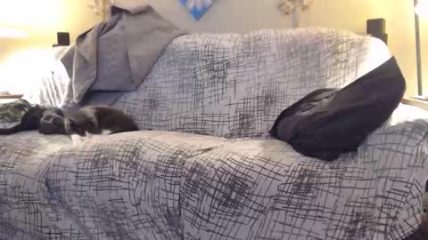 Snapshot of puff0169 chatting on February 2026 07:25:01 AM puff0169 online show from February 2026 07:25:01 AM