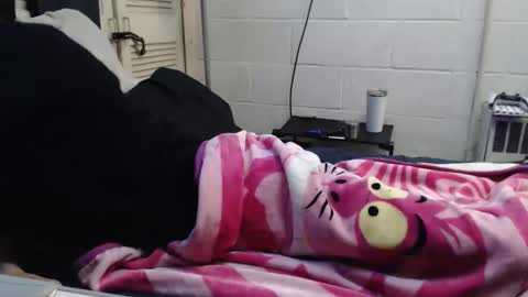 Snapshot of puff0169 chatting on March 2026 03:56:01 AM puff0169 online show from March 2026 03:56:01 AM