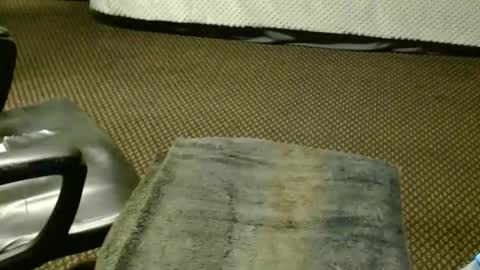 Jojo online show from November 2025 08:42:02 PM