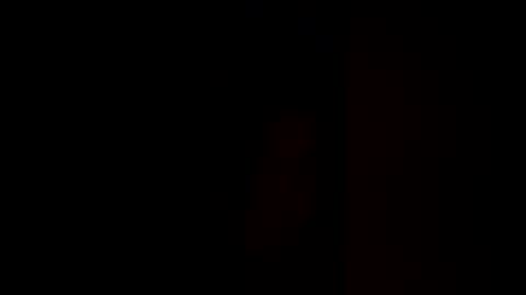 Pup Cup69 online show from December 2025 11:49:02 AM