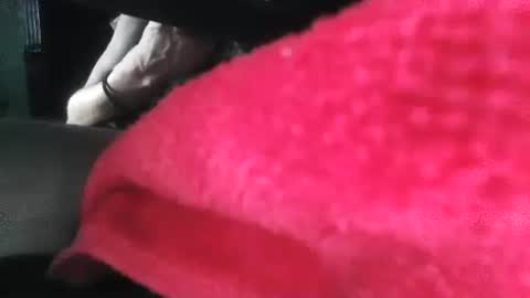Snapshot of puppah626 chatting on January 2025 05:00:02 PM Puppah626 Phoenyx 39s Room online show from January 2025 05:00:02 PM