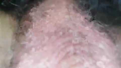 Snapshot of puppah626 chatting on January 2025 08:04:02 PM Puppah626 Phoenyx 39s Room online show from January 2025 08:04:02 PM