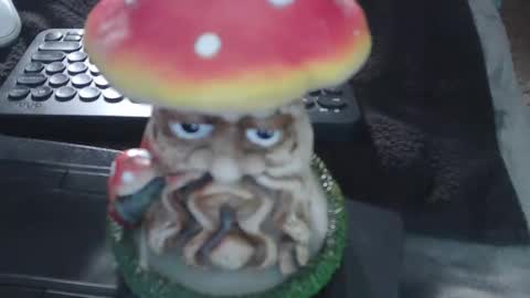 Snapshot of puppah626 chatting on January 2025 07:05:01 AM Puppah626 Phoenyx 39s Room online show from January 2025 07:05:01 AM