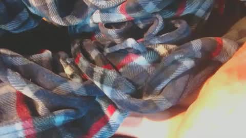 Pup Scrote online show from January 2025 03:12:02 AM