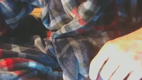 Pup Scrote online show from February 2025 05:14:02 AM