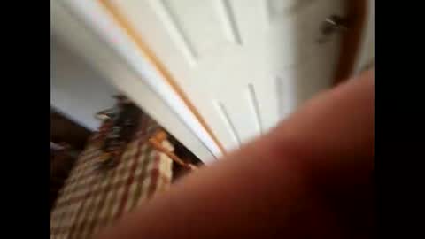 Snapshot of purdyguy7777 chatting on February 2025 05:53:02 PM purdyguy7777 online show from February 2025 05:53:02 PM