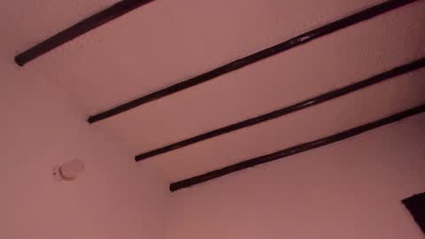 Snapshot of purple_opal chatting on January 2025 01:13:02 AM Vero online from Tuesday to Sunday online show from January 2025 01:13:02 AM