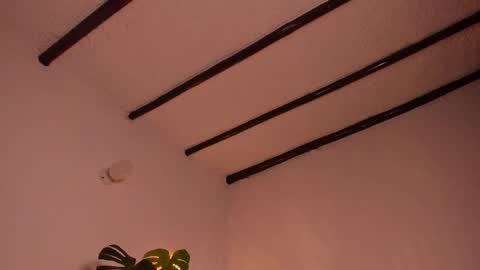 Snapshot of purple_opal chatting on February 2025 10:11:01 PM Vero online from Tuesday to Sunday online show from February 2025 10:11:01 PM