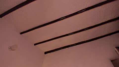 Snapshot of purple_opal chatting on February 2025 10:14:02 PM Vero online from Tuesday to Sunday online show from February 2025 10:14:02 PM