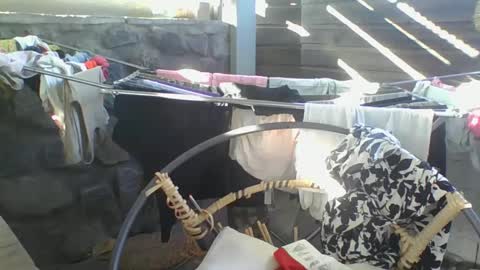 Snapshot of python974 chatting on January 2025 02:57:01 AM Python online show from January 2025 02:57:01 AM