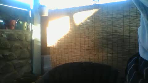 Python online show from May 2026 03:26:01 AM
