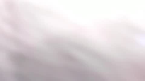 Snapshot of queen_perla_ chatting on March 2025 06:05:02 PM online show from March 2025 06:05:02 PM