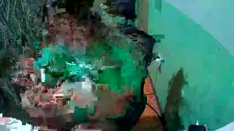 quelly40 online show from May 2026 02:11:01 PM