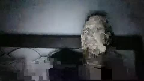 qwezxcqweasdzxc online show from October 2025 02:44:01 AM