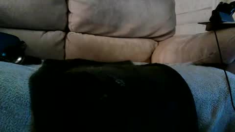 Bi daddy online show from December 2024 06:28:01 PM