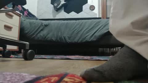 Raccoon68 online show from December 2025 07:32:01 PM