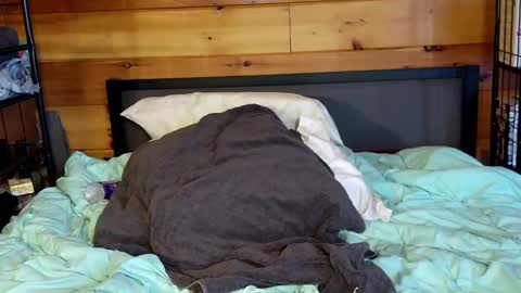 Snapshot of rachelxprice chatting on March 2025 02:00:01 PM Rachel Price online show from March 2025 02:00:01 PM