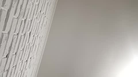 radu508 online show from October 2025 03:51:01 AM