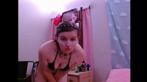 RainbowBitterBB online show from April 2026 03:16:01 AM