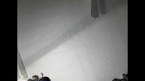 Snapshot of ramonajas chatting on February 2025 04:51:02 AM RamonaJ online show from February 2025 04:51:02 AM