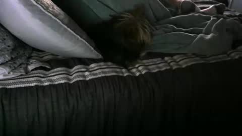 Randy8inbater online show from January 2025 02:52:01 PM