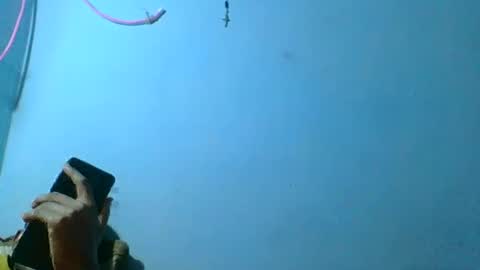 Snapshot of rasoelysca chatting on March 2026 04:47:01 AM rasoelysca online show from March 2026 04:47:01 AM