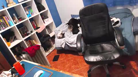 ravingr3d3 online show from February 2026 11:25:01 PM