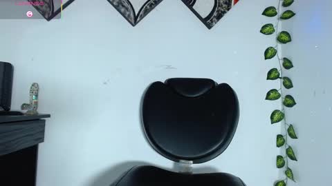 Ray  online show from February 2025 04:54:02 AM