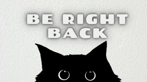 Ray  online show from May 2026 10:53:01 AM