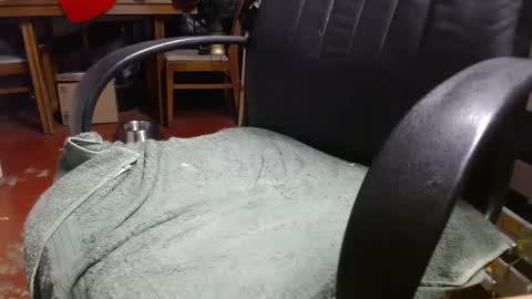 Snapshot of raysmith77777777 chatting on December 2024 01:22:01 PM Ray online show from December 2024 01:22:01 PM