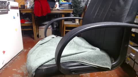 Snapshot of raysmith77777777 chatting on December 2024 03:22:02 PM Ray online show from December 2024 03:22:02 PM