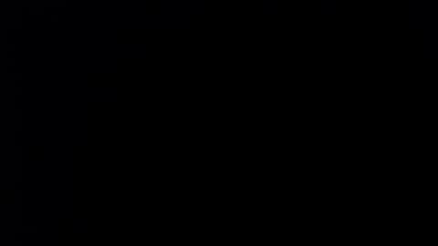 Snapshot of raysmith77777777 chatting on December 2024 06:42:02 PM Ray online show from December 2024 06:42:02 PM