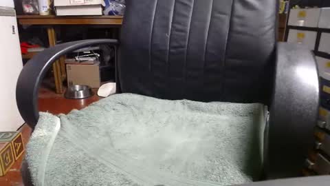 Snapshot of raysmith77777777 chatting on December 2024 12:11:01 AM Ray online show from December 2024 12:11:01 AM