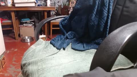 Snapshot of raysmith77777777 chatting on January 2025 01:04:02 AM Ray online show from January 2025 01:04:02 AM