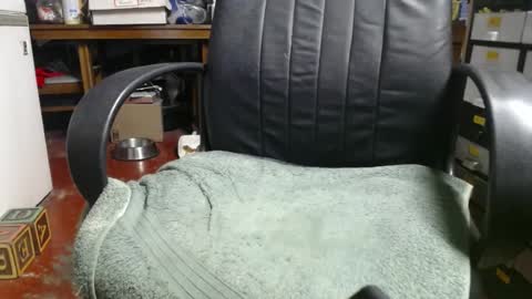 Snapshot of raysmith77777777 chatting on January 2025 04:07:01 AM Ray online show from January 2025 04:07:01 AM