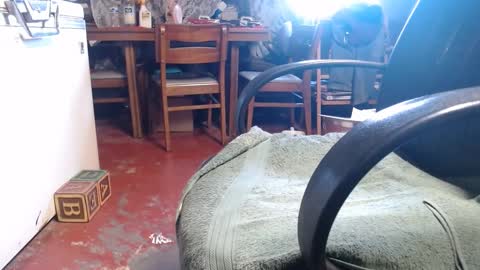 Snapshot of raysmith77777777 chatting on January 2025 02:04:01 PM Ray online show from January 2025 02:04:01 PM