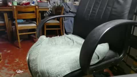 Snapshot of raysmith77777777 chatting on January 2025 12:05:02 AM Ray online show from January 2025 12:05:02 AM