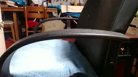 Snapshot of raysmith77777777 chatting on November 2025 12:04:02 PM Ray online show from November 2025 12:04:02 PM