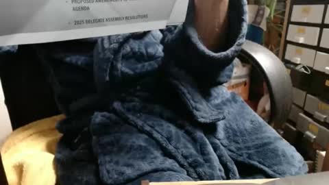 Snapshot of raysmith77777777 chatting on November 2025 03:39:01 AM Ray online show from November 2025 03:39:01 AM