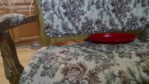 Snapshot of raysmith77777777 chatting on February 2026 05:50:01 AM Ray online show from February 2026 05:50:01 AM