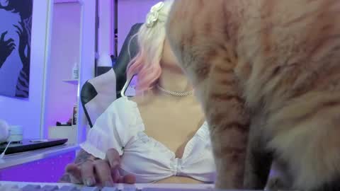 Rea    online show from April 2026 11:13:01 PM