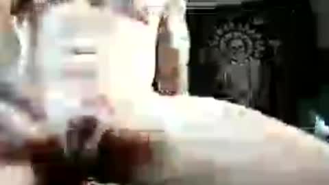 reade19844 online show from July 2026 04:04:01 AM